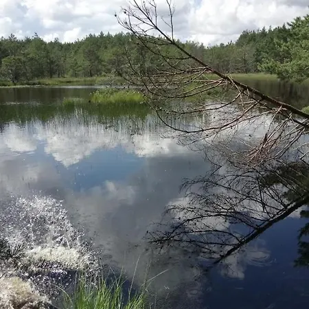 Ostoja Sosnowa Czarny Mlyn, Kompleks Dwoch Domkow