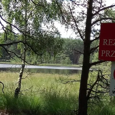 Ostoja Sosnowa Czarny Mlyn, Kompleks Dwóch Nowych Domkow