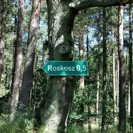 Ostoja Sosnowa Czarny Mlyn, Kompleks Dwoch Nowych Domkow Czarny Mlyn