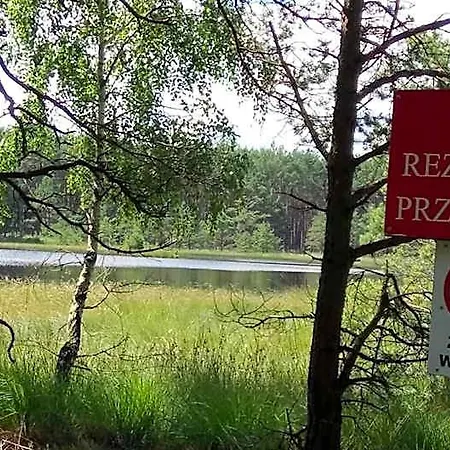 Ostoja Sosnowa Czarny Mlyn, Kompleks Dwóch Nowych Domkow Domek letniskowy *