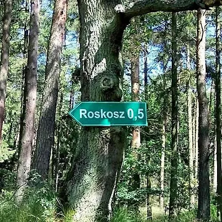 Ostoja Sosnowa Czarny Mlyn, Kompleks Dwóch Nowych Domkow Domek letniskowy Czarny Mlyn
