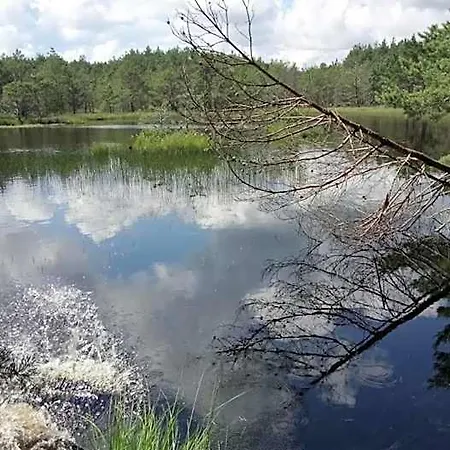 Ostoja Sosnowa Czarny Mlyn, Kompleks Dwóch Nowych Domkow *