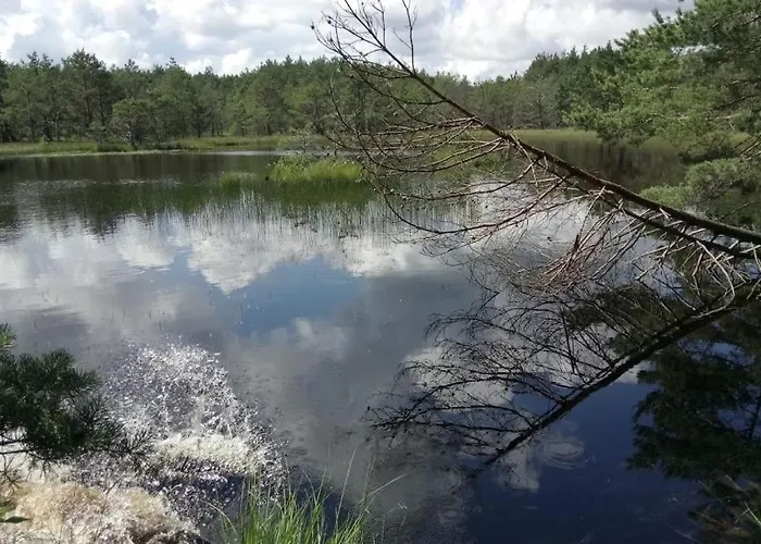 Ostoja Sosnowa Czarny Mlyn, Kompleks Dwóch Nowych Domkow