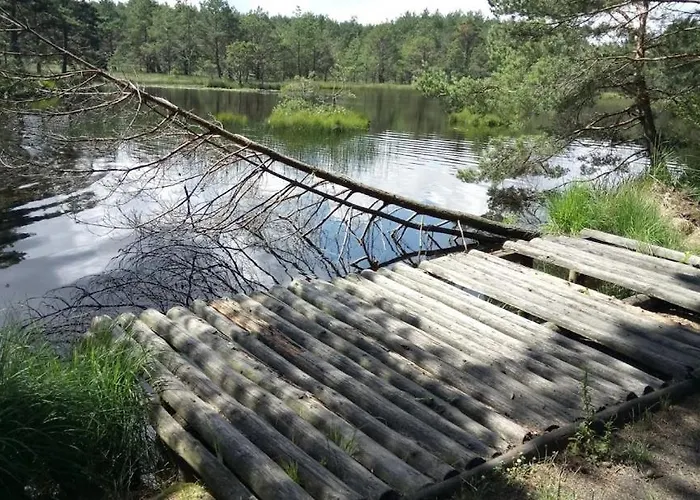 Lodge Ostoja Sosnowa Czarny Mlyn, Kompleks Dwóch Nowych Domkow Czarny Mlyn