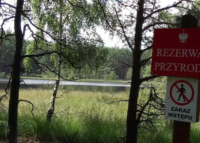 Ostoja Sosnowa Czarny Mlyn, Kompleks Dwóch Nowych Domkow