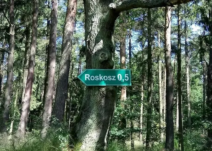 Ostoja Sosnowa Czarny Mlyn, Kompleks Dwóch Nowych Domkow Czarny Mlyn