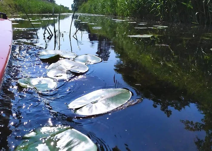 Lodge Ostoja Sosnowa Czarny Mlyn, Kompleks Dwóch Nowych Domkow